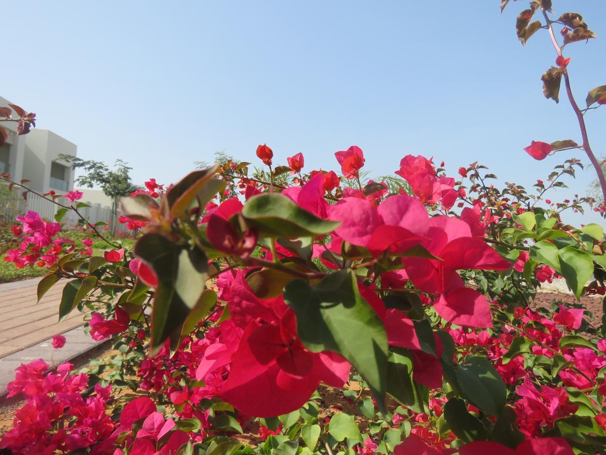 Bermuda Villas Holiday Home Ras al-Khaimah Quarto foto